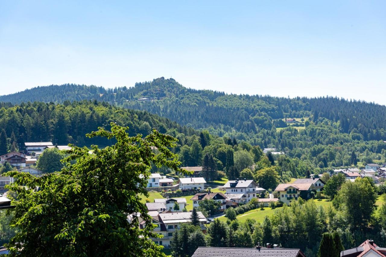 Ferienwohnungen Haus Elisabeth Bodenmais Exteriér fotografie